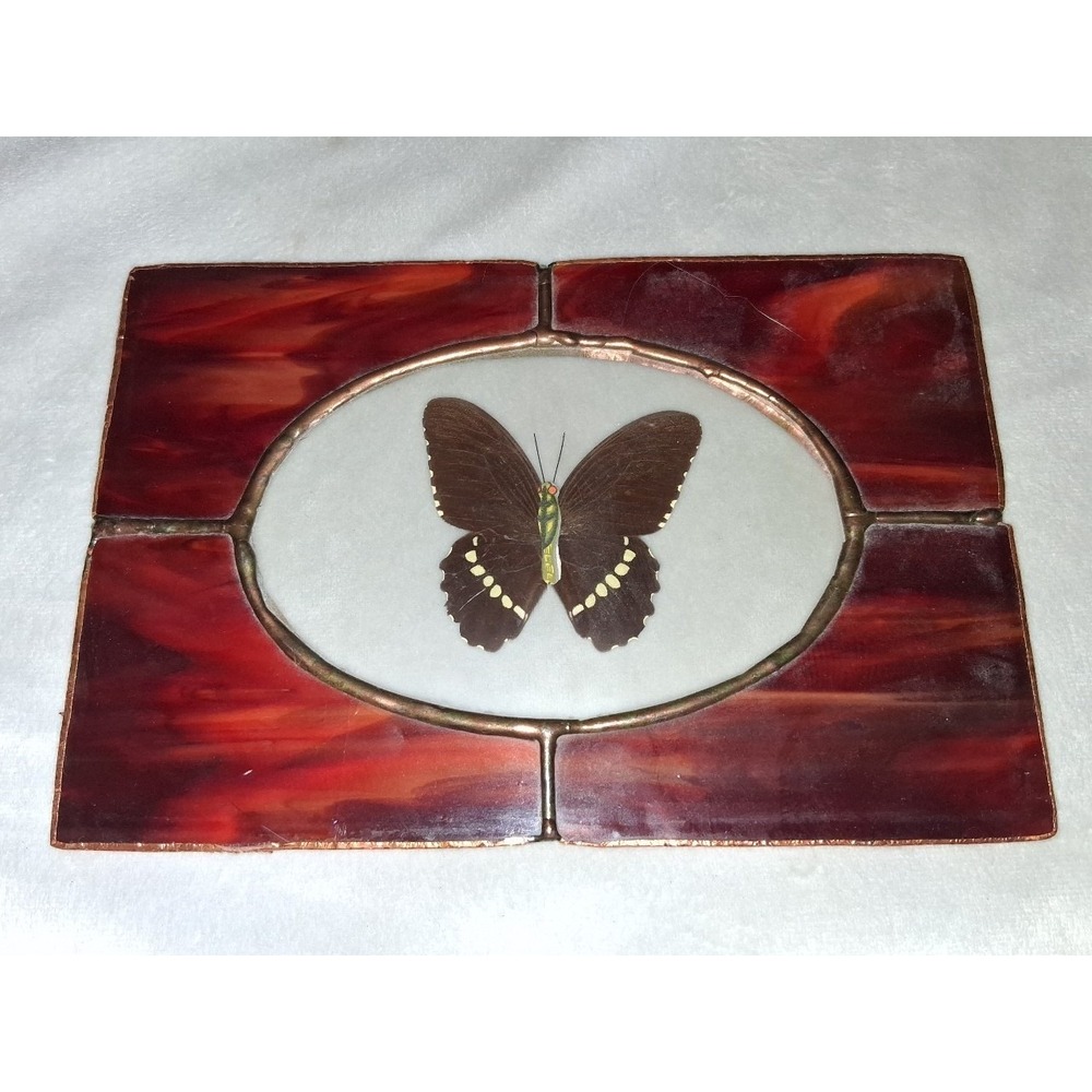 Vintage Stained Glass Butterfly Specimen Wall Art Red Glass Frame 6" x 9"